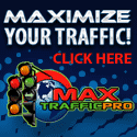 Max Traffic Pro